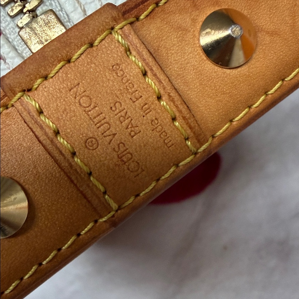 Louis Vuitton Colorful - Picture 10 of 11
